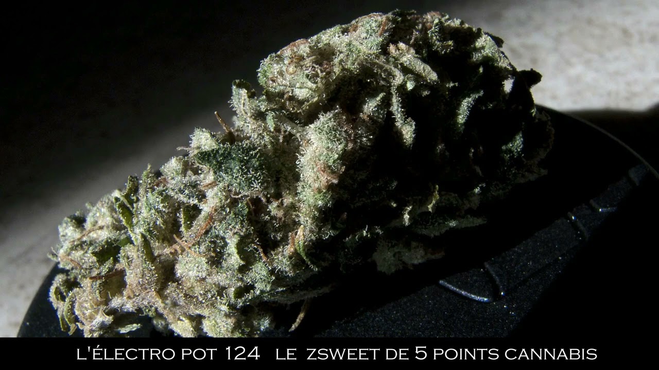 LE ZSWEET DE 5 POINTS CANNABIS - L'&Eacute;LECTRO POT 124