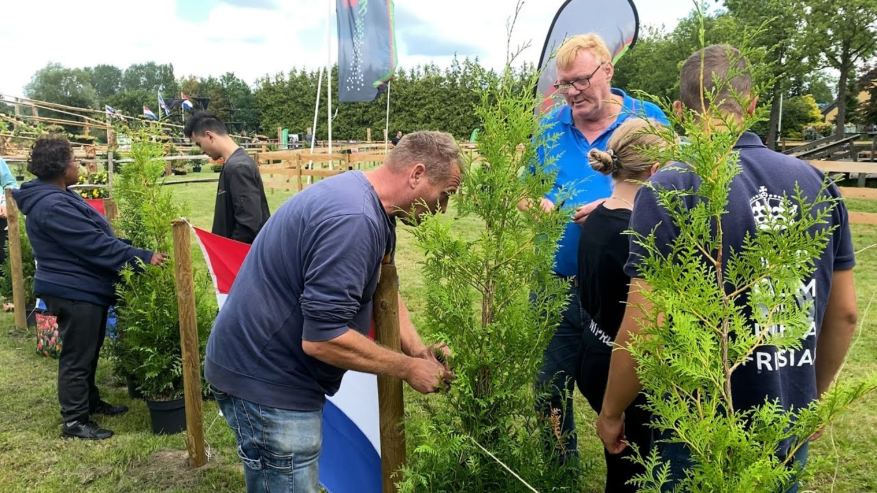 Walterswâld in voorbereiding op jaarlijkse Paardendagen
