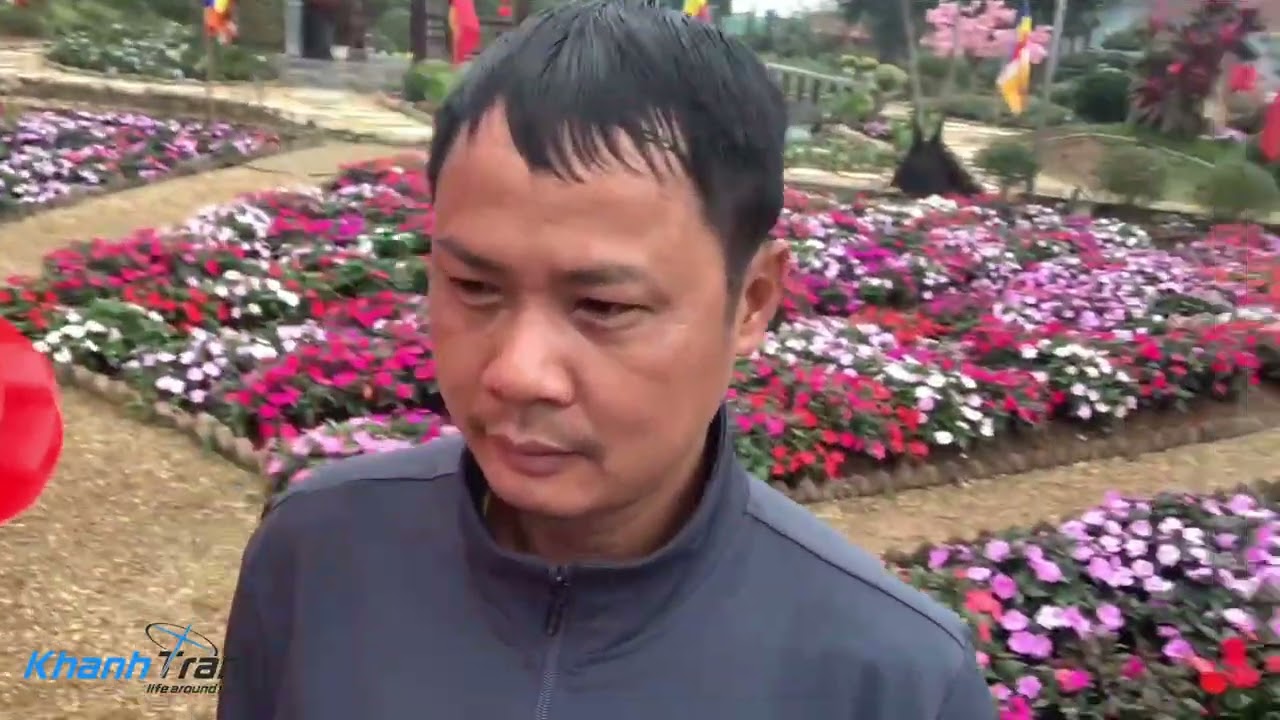 Ngày xuân sum họp