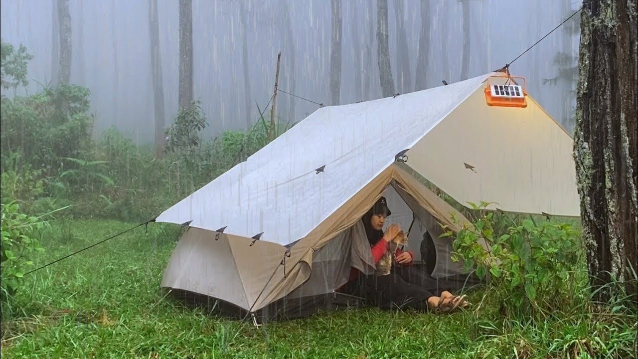 RAIN CAMPING IN FOREST‼️CAMPING IN THE RAIN ALL DAY WITH A COZY TENT‼️