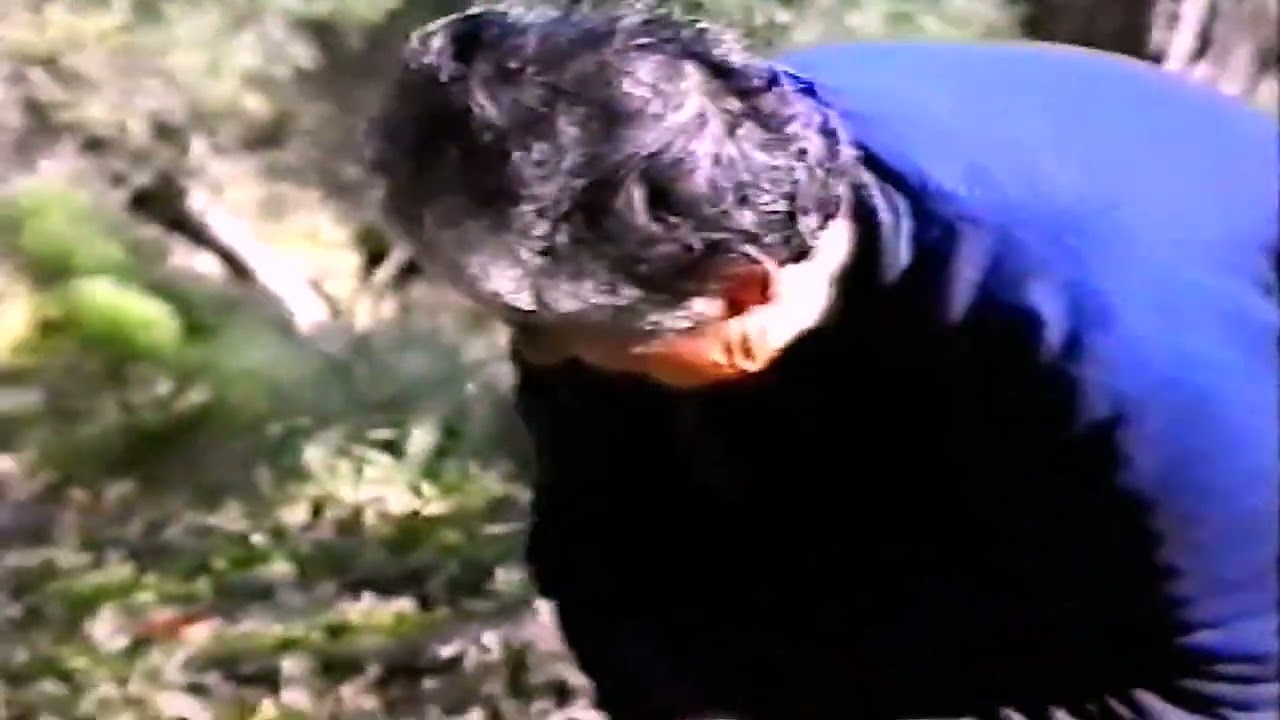 ZAHARA DE LA SIERRA-recogida de la aceituna--1989