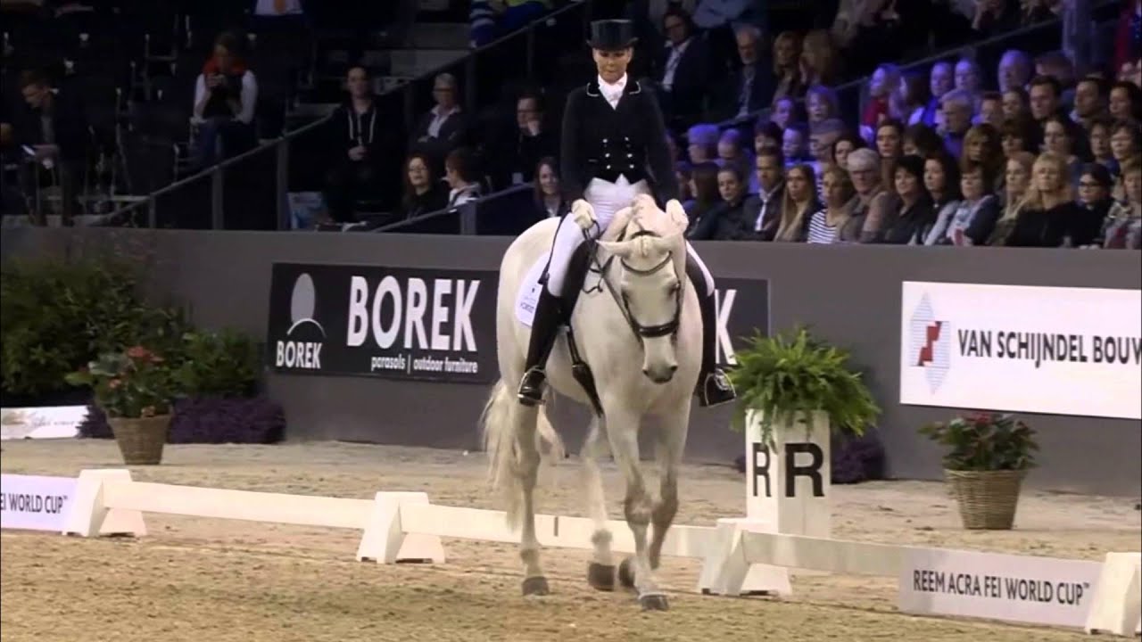 Anne van Olst with Zidhane - Dressage Freestyle 's Hertogenbosch 2016