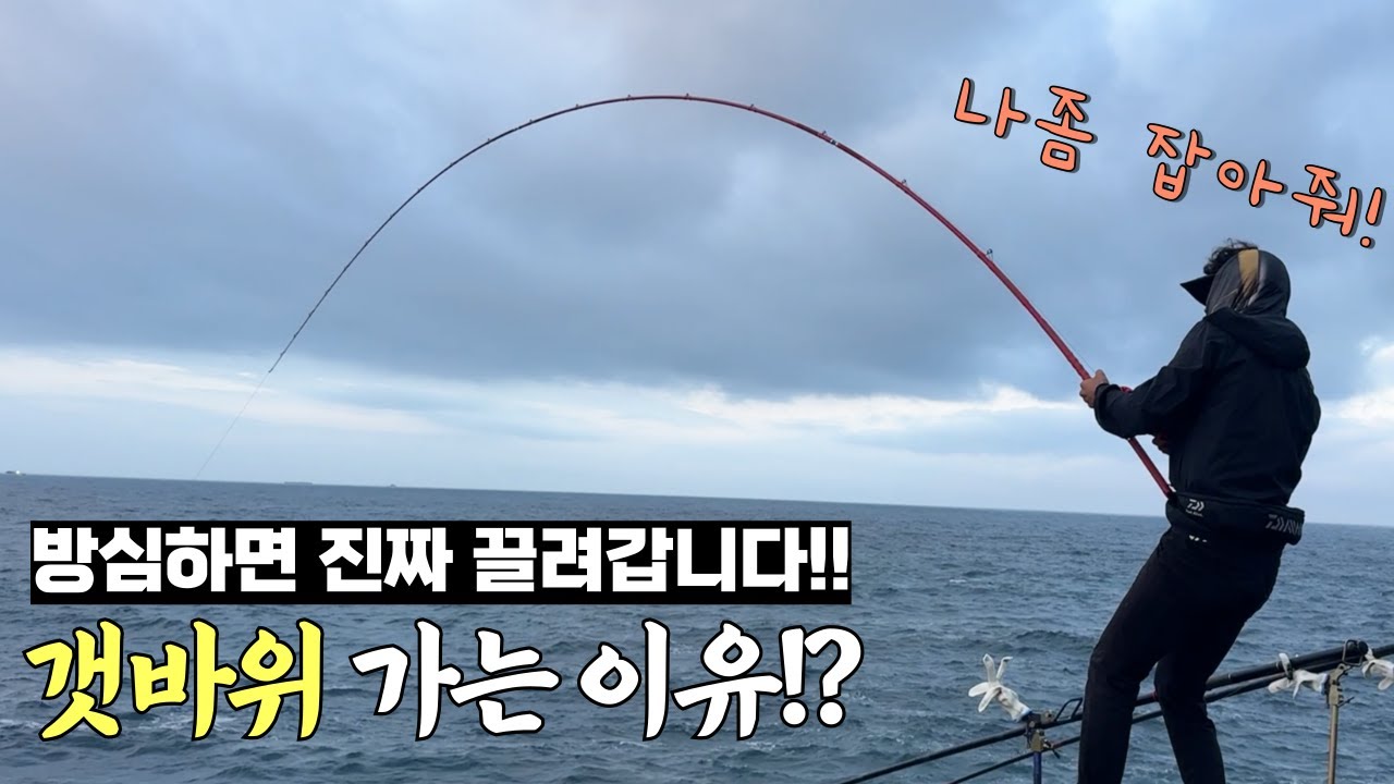 1kg 20만원 그런데 쏟아진다!? 지금 바로 갯바위로 가세요 !?초호화 오마카세가 펼쳐집니다!