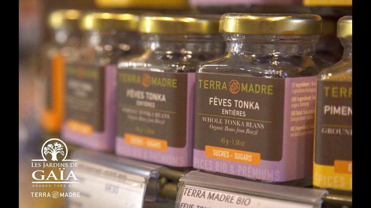 La fève de Tonka Terra Madre - Très très bon  - Paris Première