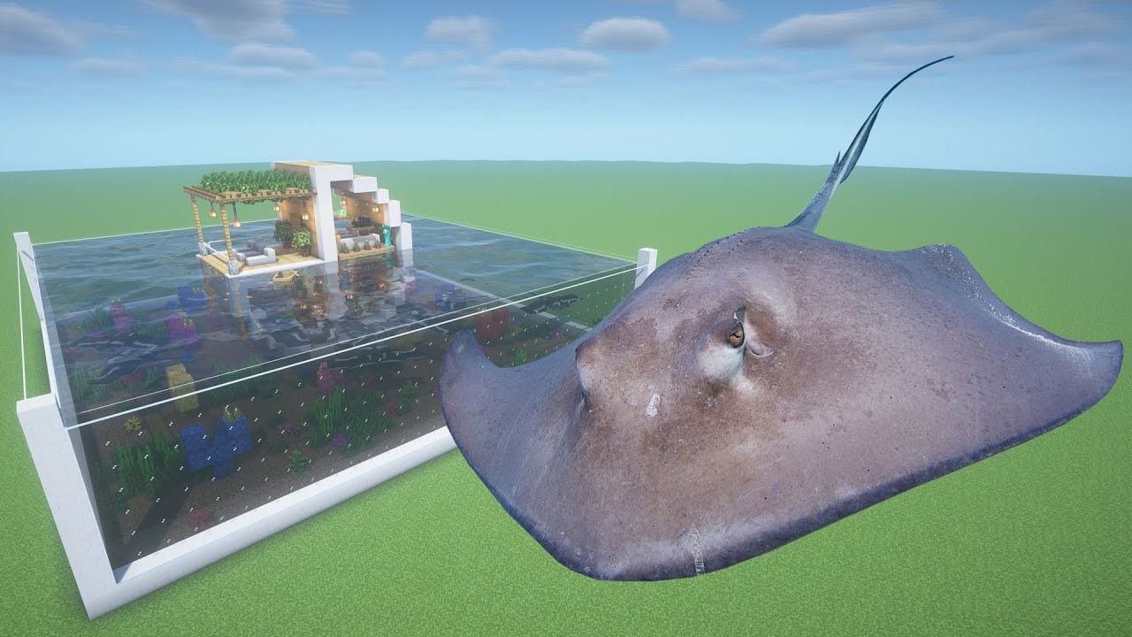 How To Make a Stingray Farm in Minecraft PE