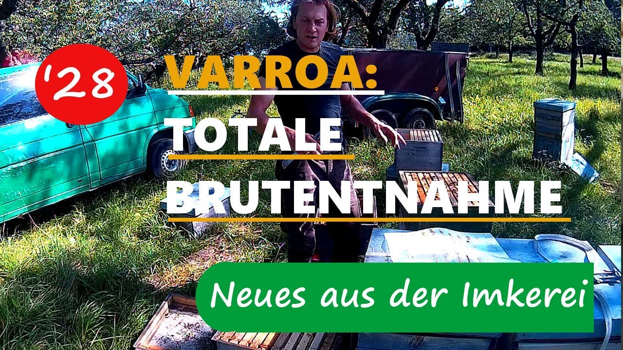 Varroabekämpfung: Totale Brutentnahme bei Bienenvölkern - Neues aus der Imkerei #28
