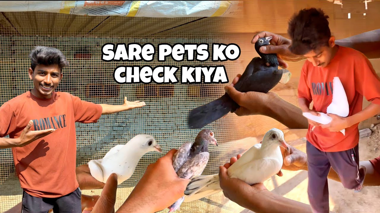 Mini Zoo Ke Sare Pets Ko Check Kiya 😍|| आज तो डव ने परेशान कर दिया 😤