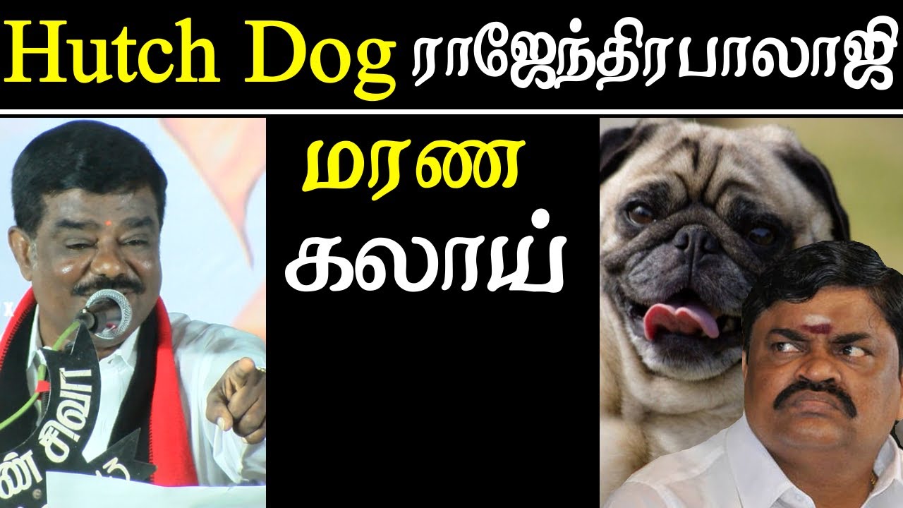 dmk public meeting sivaji krishnamurthy speech on rajendra balaji dr ramadoss and sellur raju