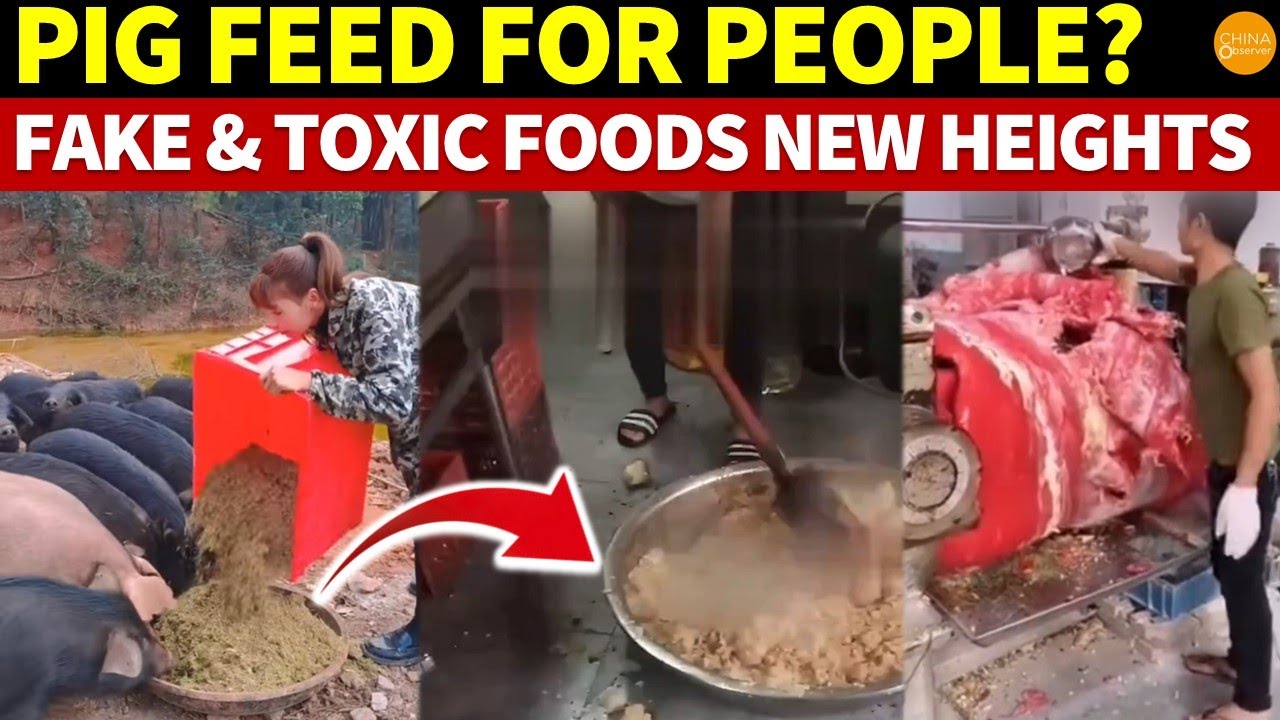 China’s Fake and Toxic Foods Reach New Heights | Pig Feed for People?
