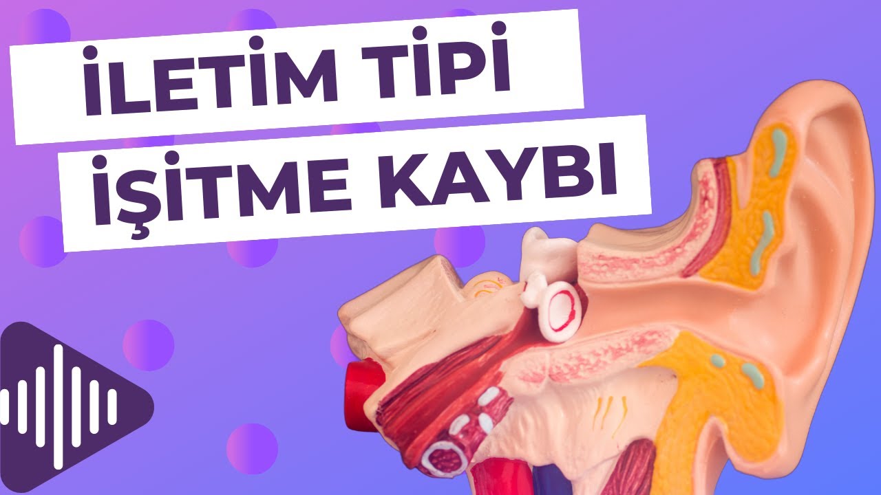 İletim Tipi İşitme Kaybı | Nedenleri | G&ouml;r&uuml;ld&uuml;ğ&uuml; Hastalıklar | Odyogram & Timpanogram Bulgusu
