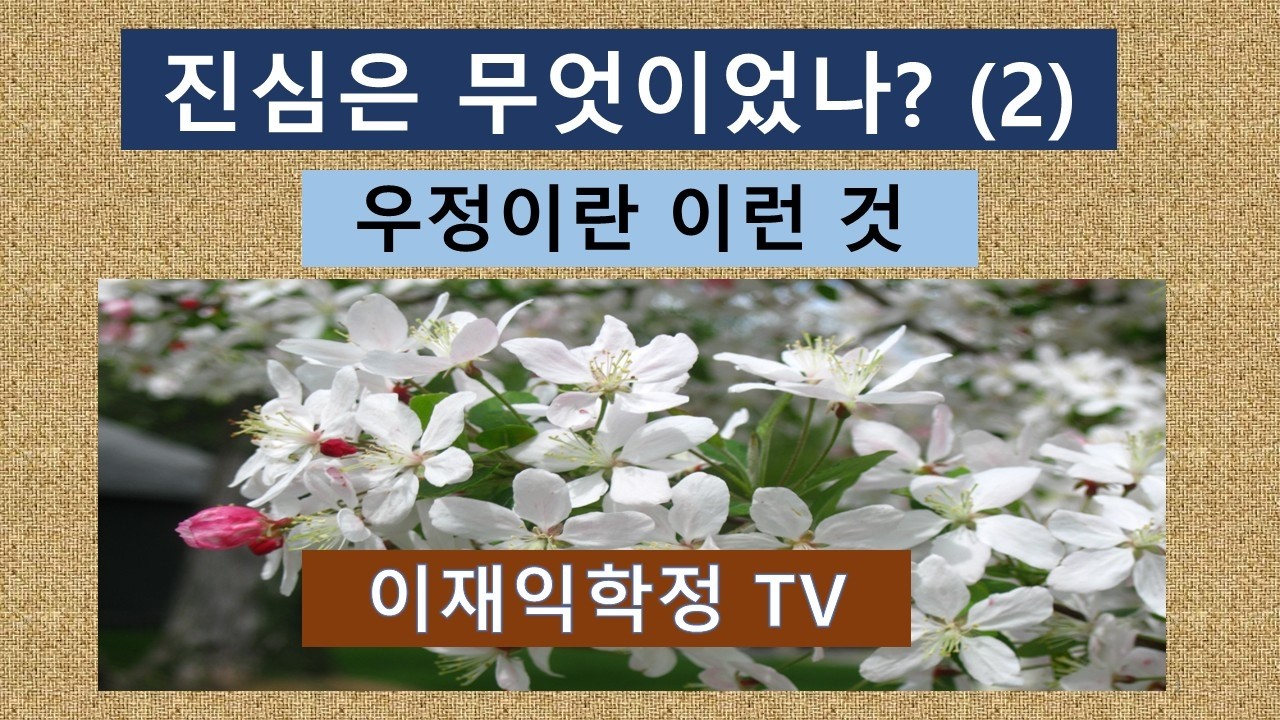 진심은 무엇이었나 (2)