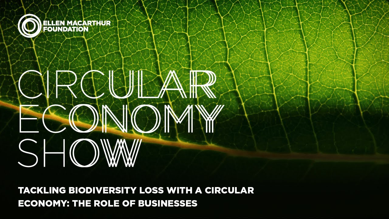 Tackling biodiversity loss with a circular economy: the role of businesses
