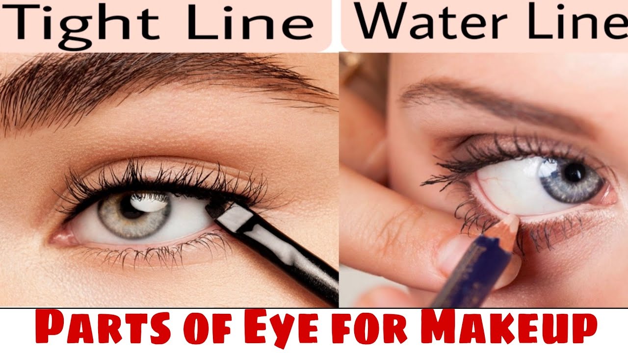 Eye parts || You should know about the eye parts for professional makeup👁️