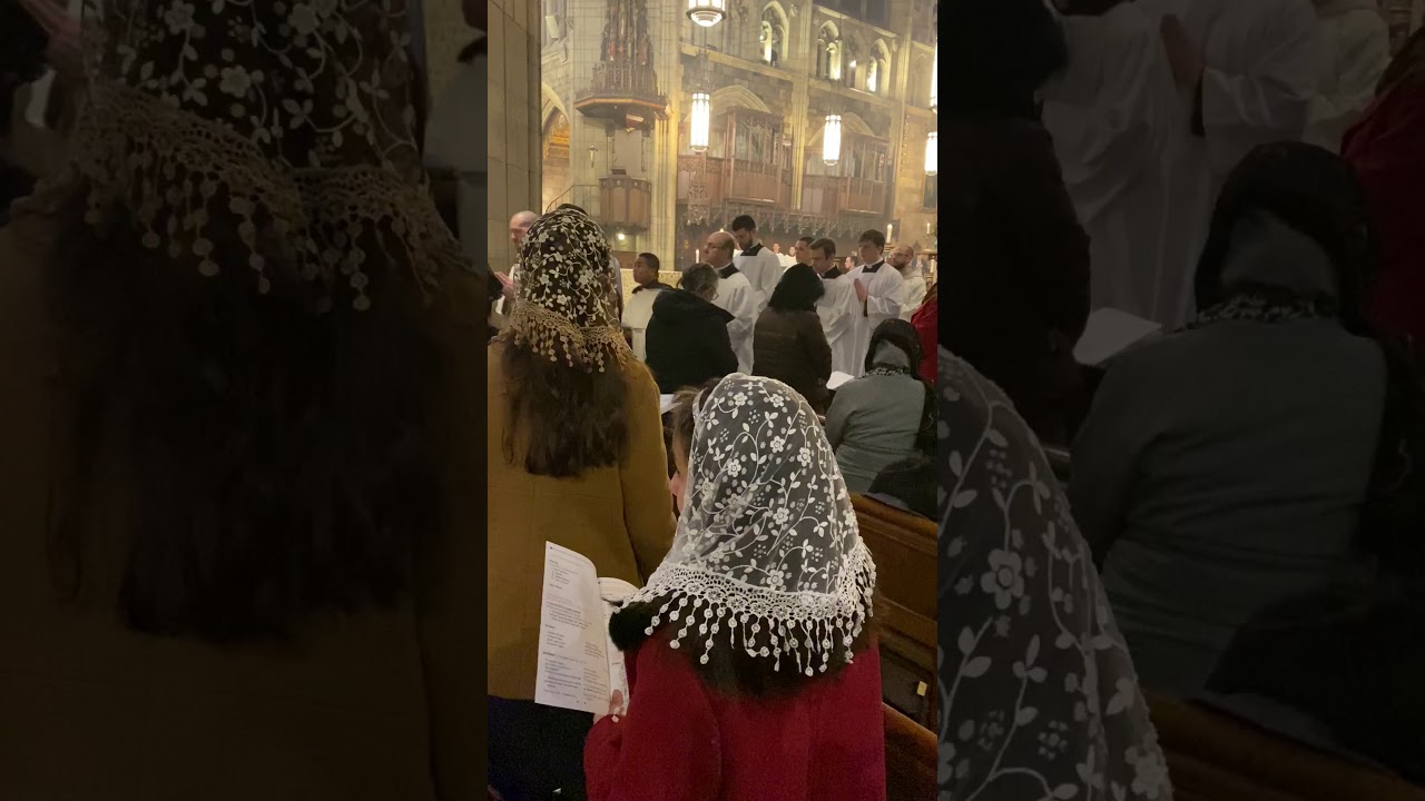 Cardinal Zen's Pontifical High Mass on Feb15, 2020