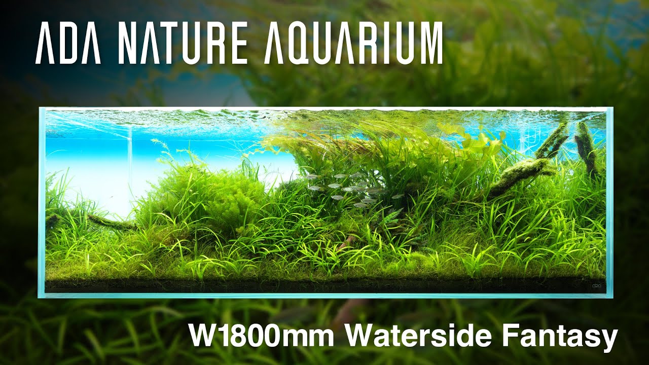 [ADAview] Waterside Fantasy 幻想の水辺 -W1800mm NatureAquarium Layout-【EN/JP Sub.】