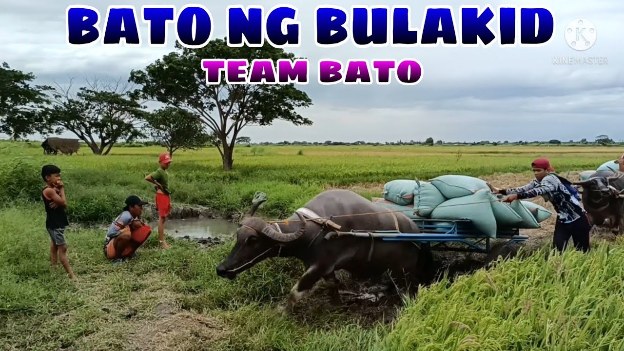 bato ng bulakid part 1 BUHAY BUKID JRTV
