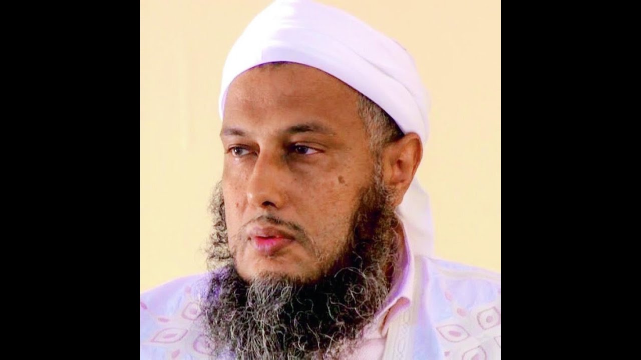 ردودي على الشيخ الددو ونماذج من مغالطاته
