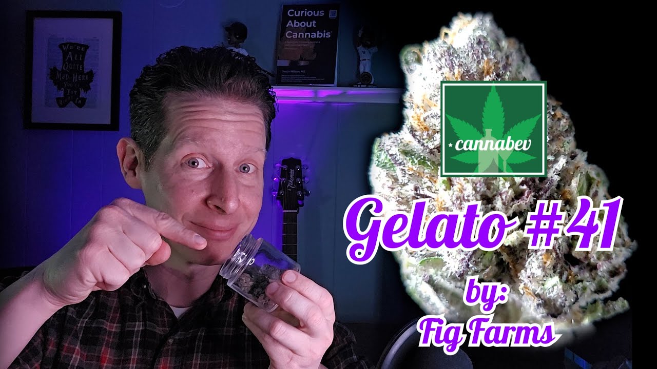 Fig Farms Gelato #41 - Illinois Cannabis Review