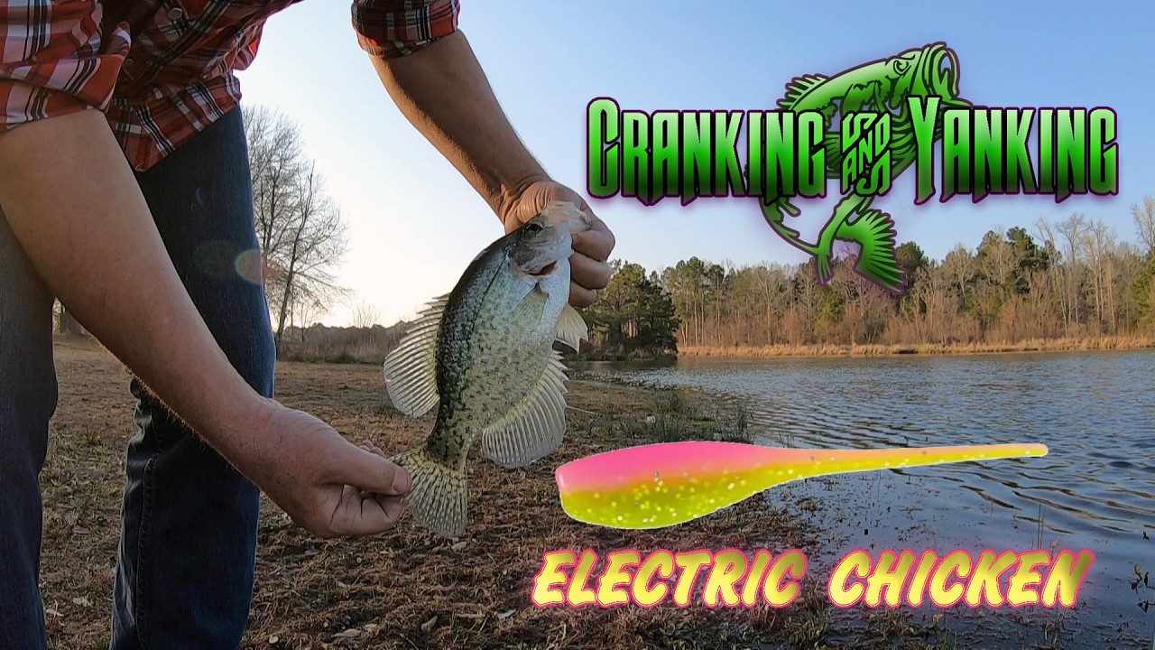 Crappie from the bank and Lake Murvaul