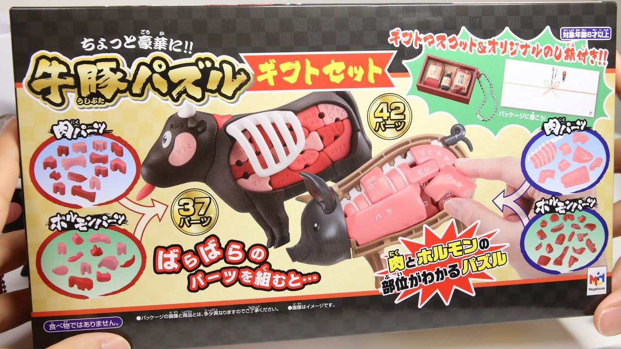 Anatomy Cow and Pig DIY 3D Puzzle Japan Souvenir