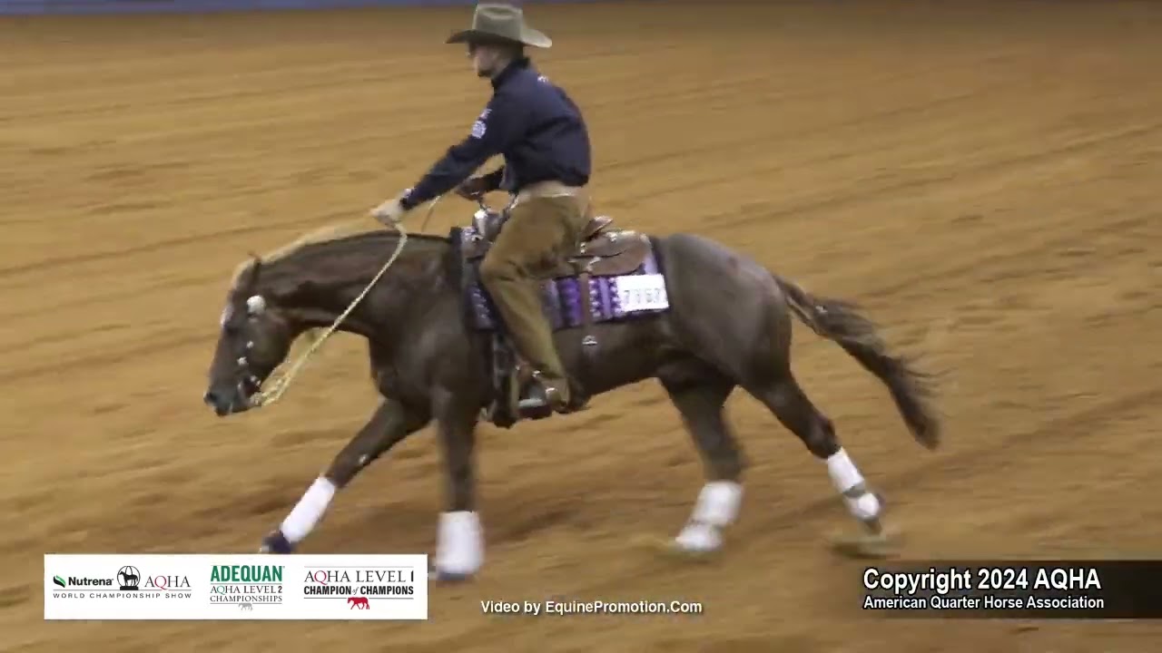 Senior Reining - 2024 AQHA World Championship Show