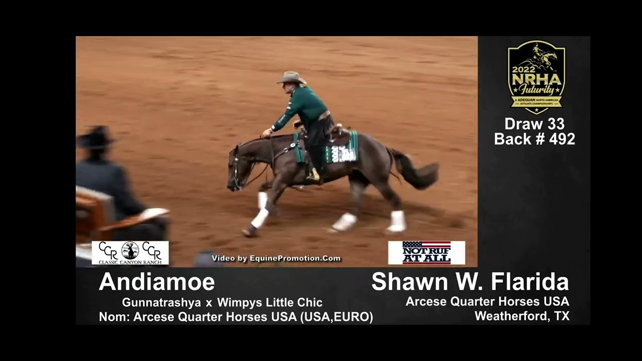 Shawn Flarida and Andiamoe - Futurity 2022 Final - Score 230 - Champions