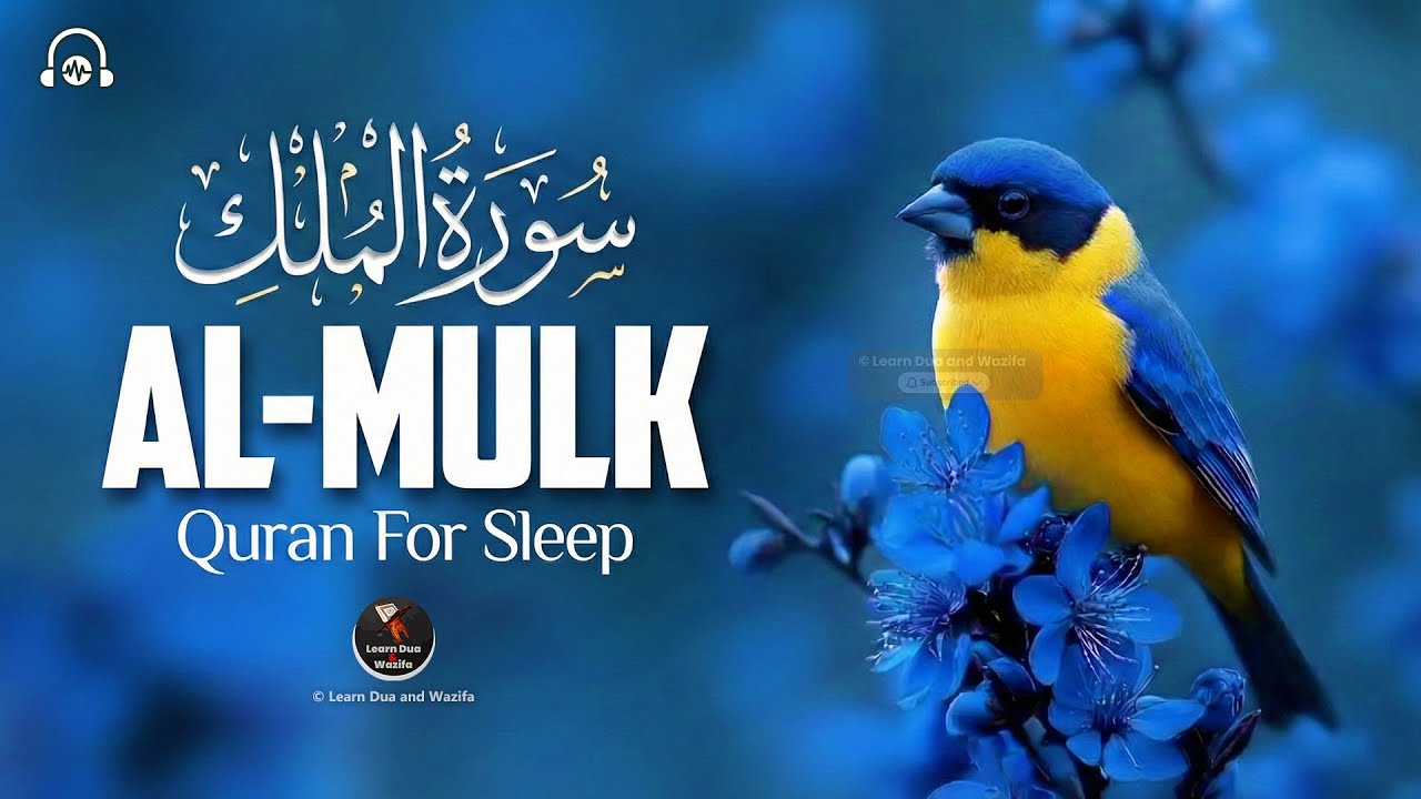 Surah Al-Mulk سورة الملك | Soft Lofi Tilawat for Spiritual Comfort and Night Peace #lofiquran