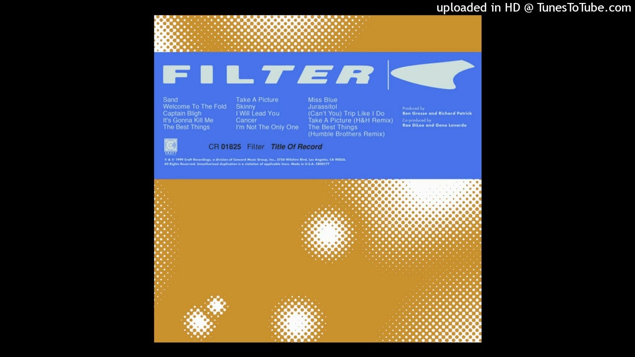 Filter - Skinny (Instrumental)