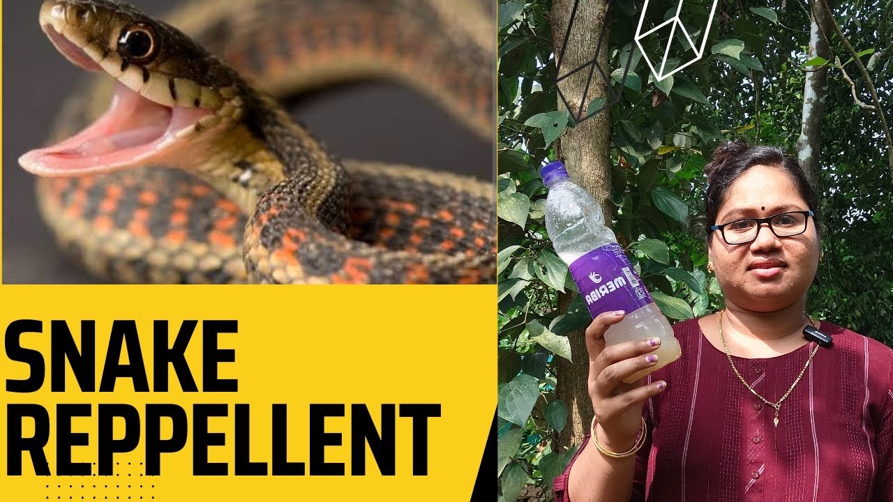 പാമ്പടക്കമുള്ള ക്ഷുദ്രജീവികളെ തുരത്താൻ അടിപൊളി വിദ്യ /കോഴി, പക്ഷിക്കൂട്ടിൽ പാമ്പ് കയറാതെ/Snake preve