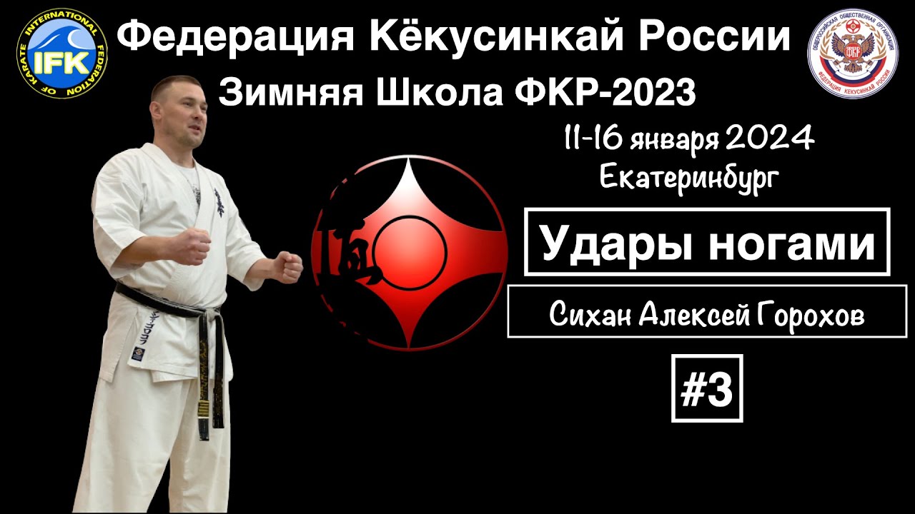 Зимняя Школа Федерации Кёкусинкай России-2024 / Сихан Горохов / Удары ногами (3)