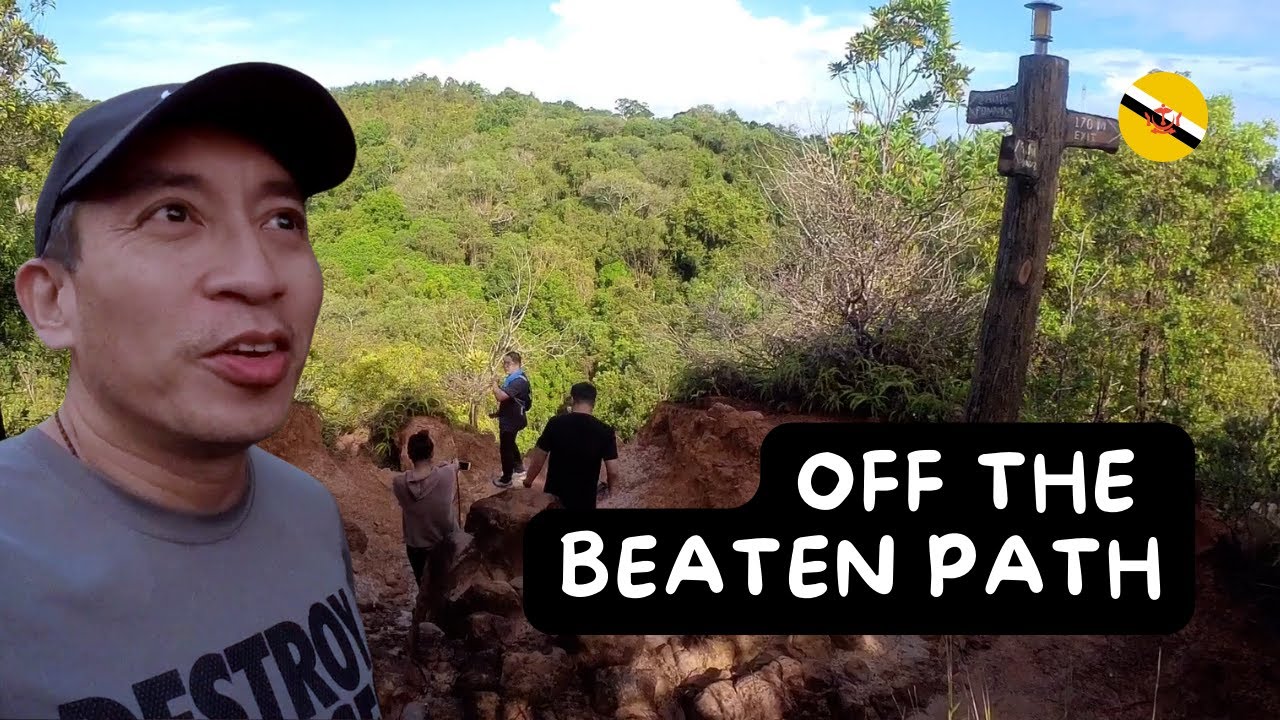 Bukit Shahbandar Outer Trail - try this trail for a walk in nature, off the beaten path