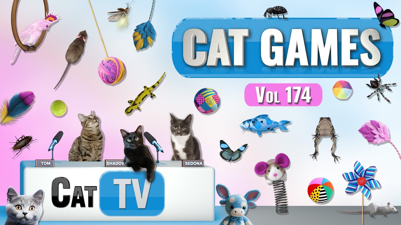 CAT Games | Ultimate Cat TV Compilation, том 174 | 8 ЧАСОВ 🐝🐞🦋🦎🦜🐜🐭🧵