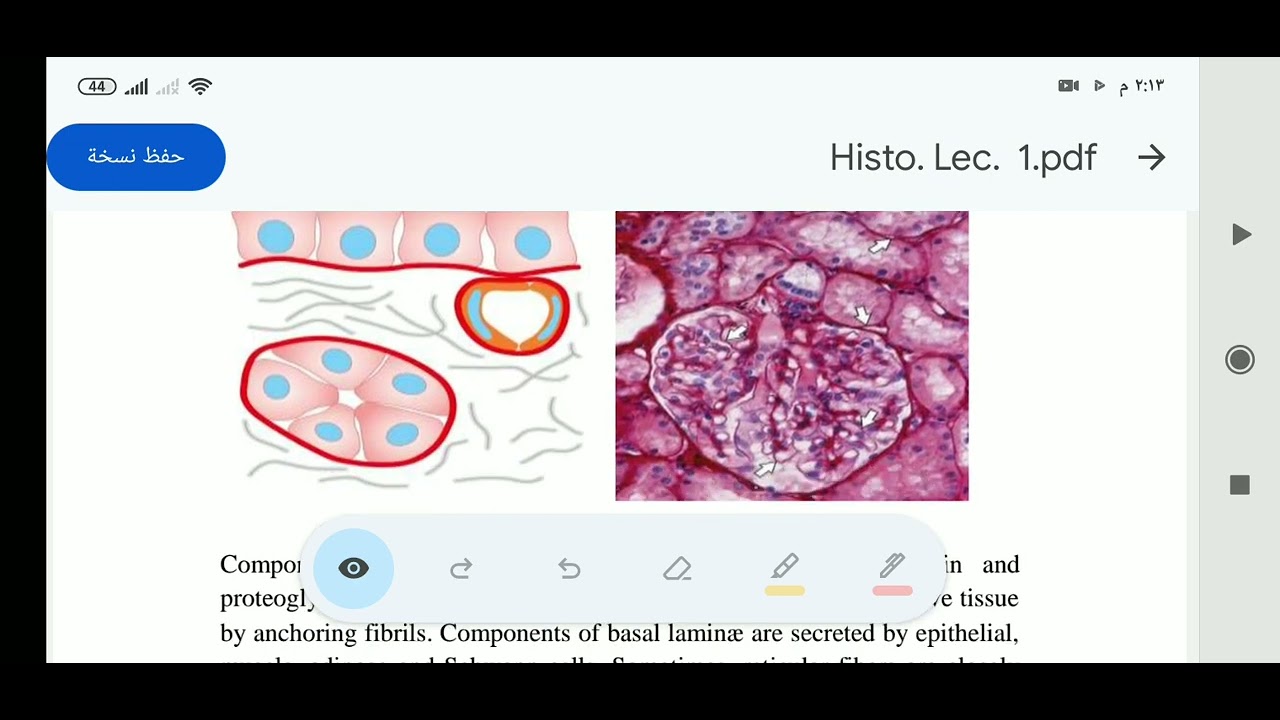 محاضرة رقم ١ histology كلية الصيدلة جامعة بابل مرحلة ١