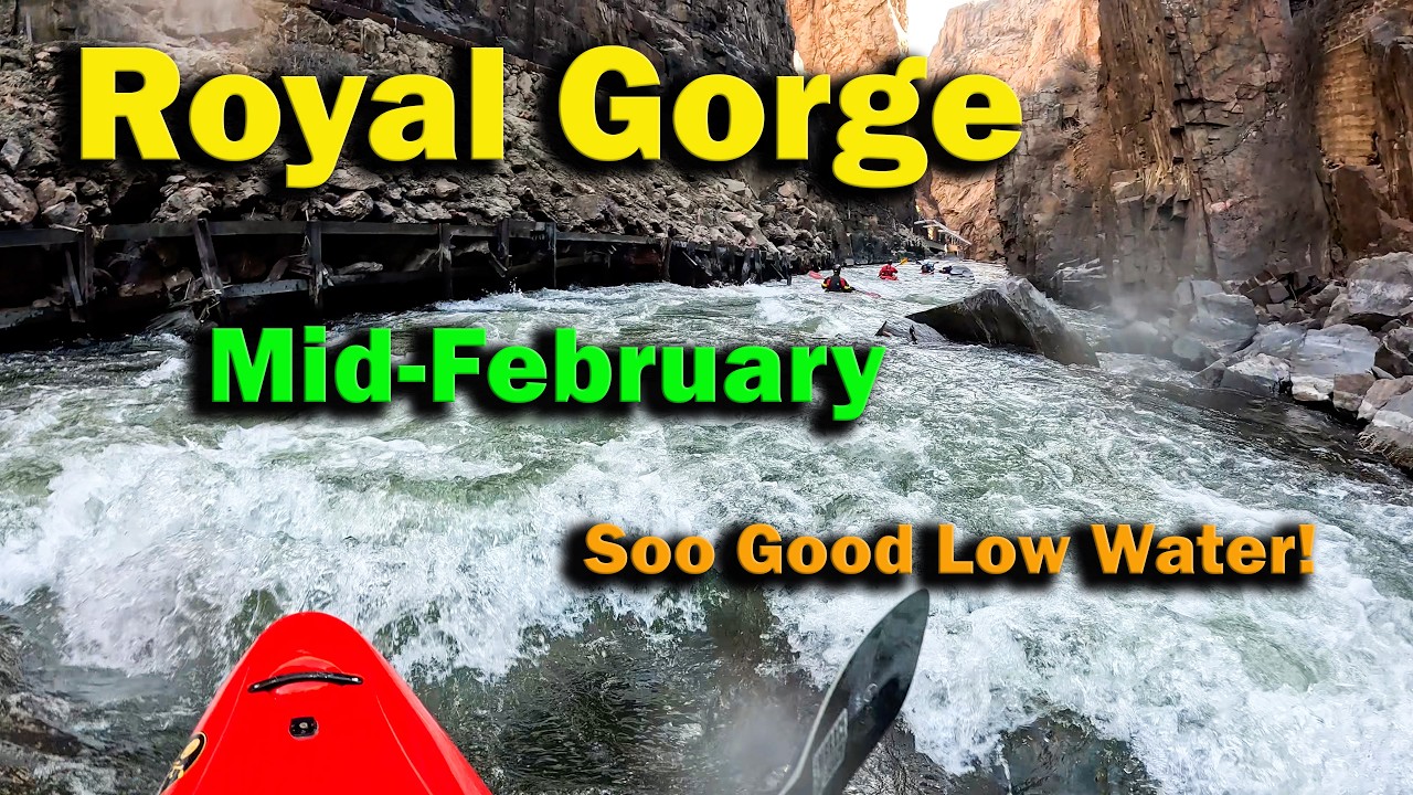Royal Gorge in February — no ice, no excuses, just 320 cfs and sunshine