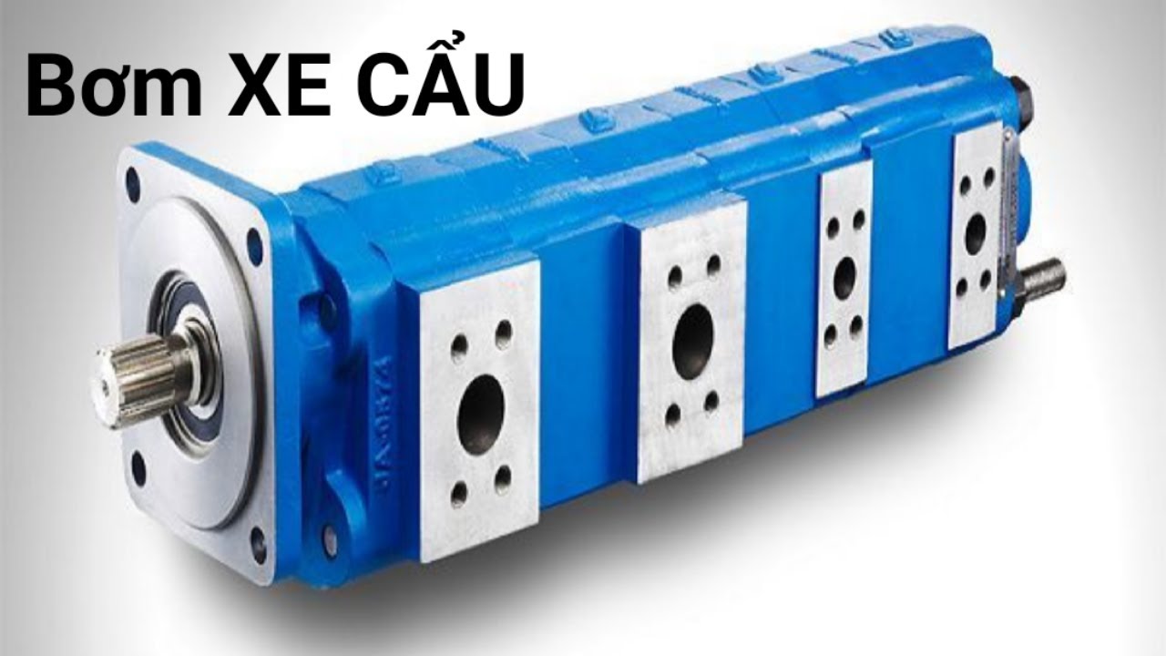 Bơm Bánh Răng Xe Cẩu Parker USA - THUỶ LỰC HAY