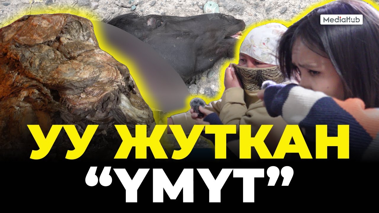 &ldquo;Үмүттү&rdquo; уулаган завод, үнү жетпеген эл