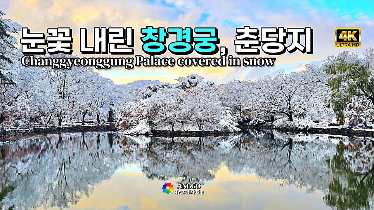 #4k 창경궁 춘당지에 폭설이~, 춘당지의 설경과 원앙새들이 아름답게~ #창경궁  #설경 #winterseoul #changgyeonggung #chundangji