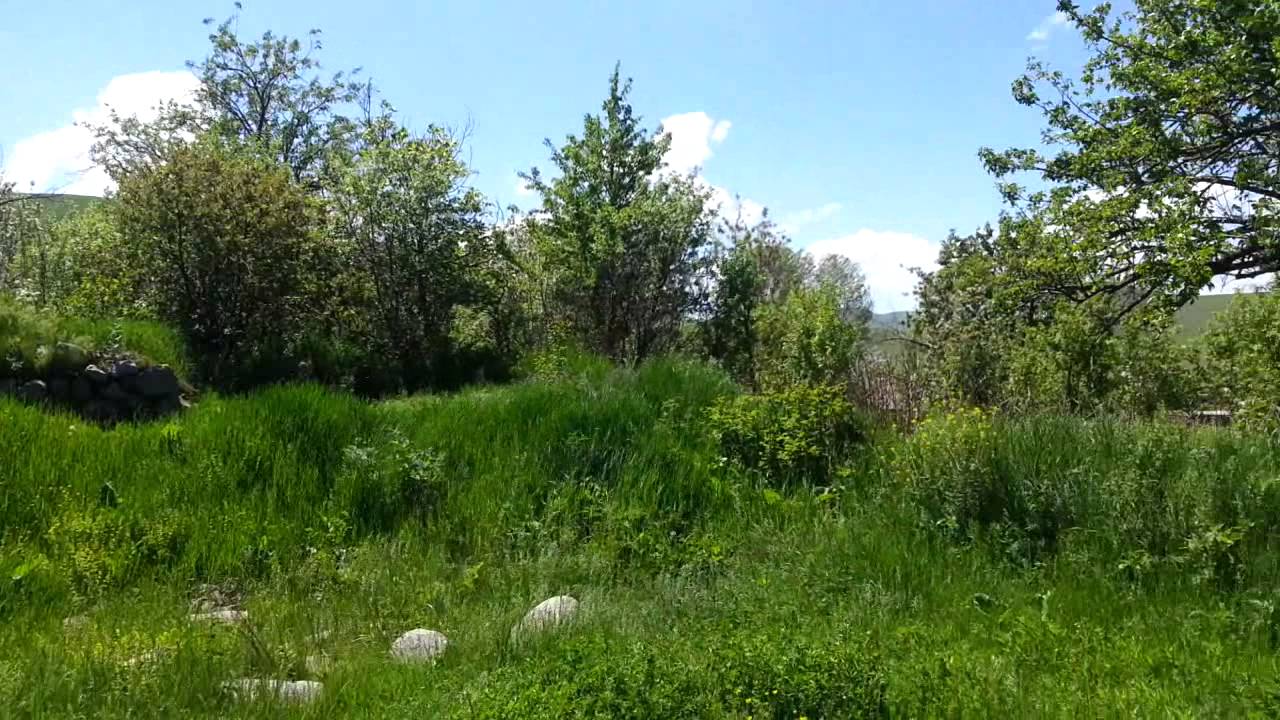 Սարամեջ գյուղի բնության մեկ հատված