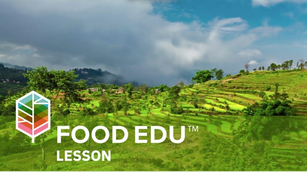 Advancing a Principles-Based Approach for Food Systems Innovation