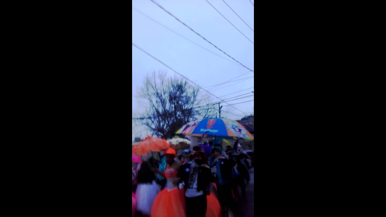 org. pachis