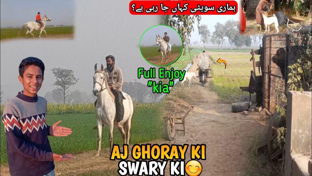 Full Enjoy kia AJ GHORAY😊KI SWARY KI & Abdul wahab vlogs 