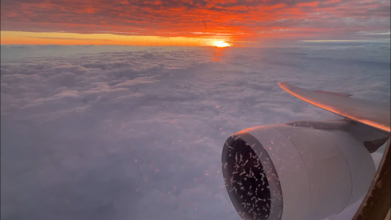 BEAUTIFUL Sunset | Turkish Airlines B777-300ER Dusk Landing at Istanbul Airport (IST/LTFM)