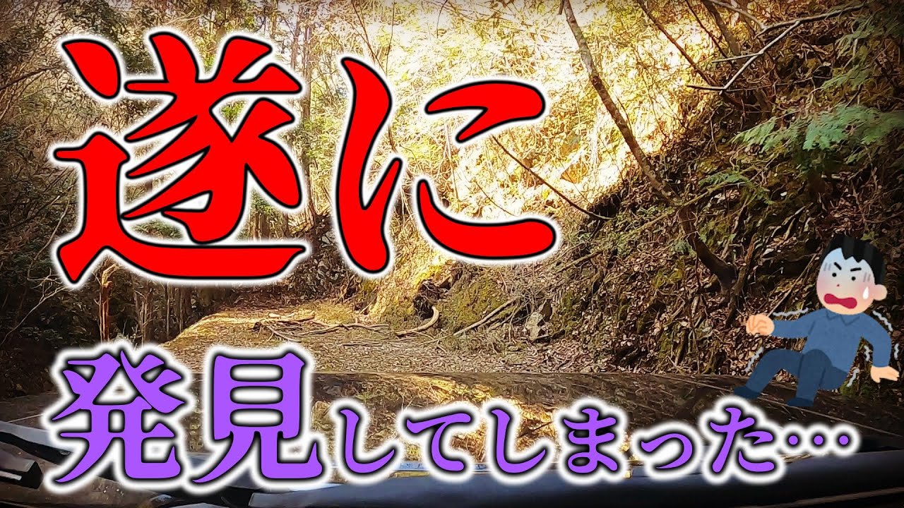 こんな状態で発見するとは…はっきり言ってエグイです!