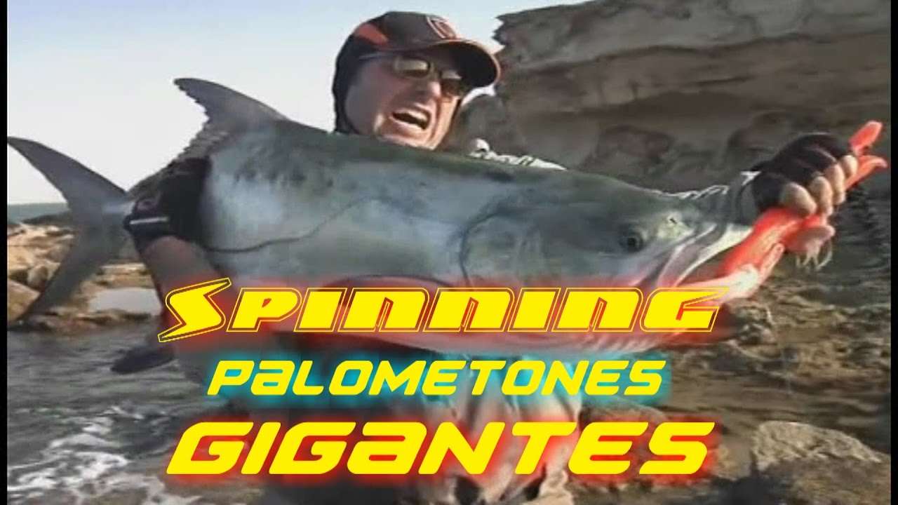 Pesca Spinning Palometones Gigantes 2017 HD