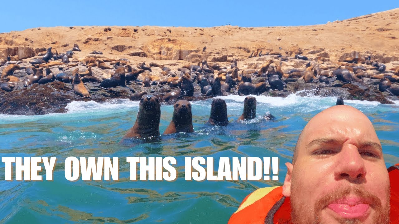 ATTACKED by SEA-LIONS on a FORBIDDEN ISLAND 🌊