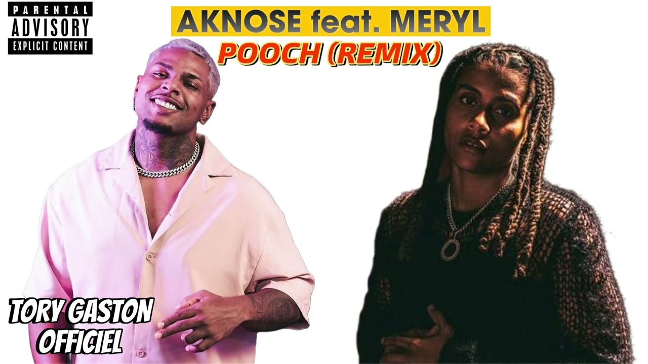 AKNOSE feat. MERYL - POOCH (REMIX)