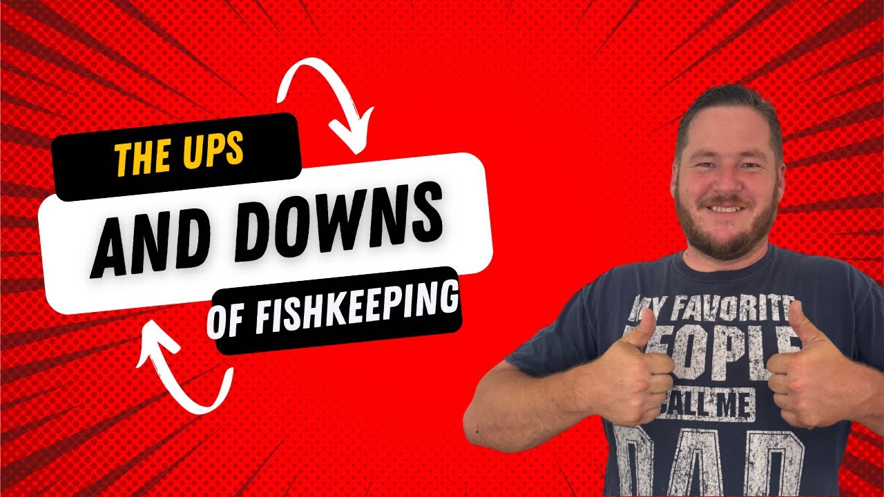 Massive Fish Tank Update! Planted Tank Revival, Cichlid Problems & Why I Took a Break