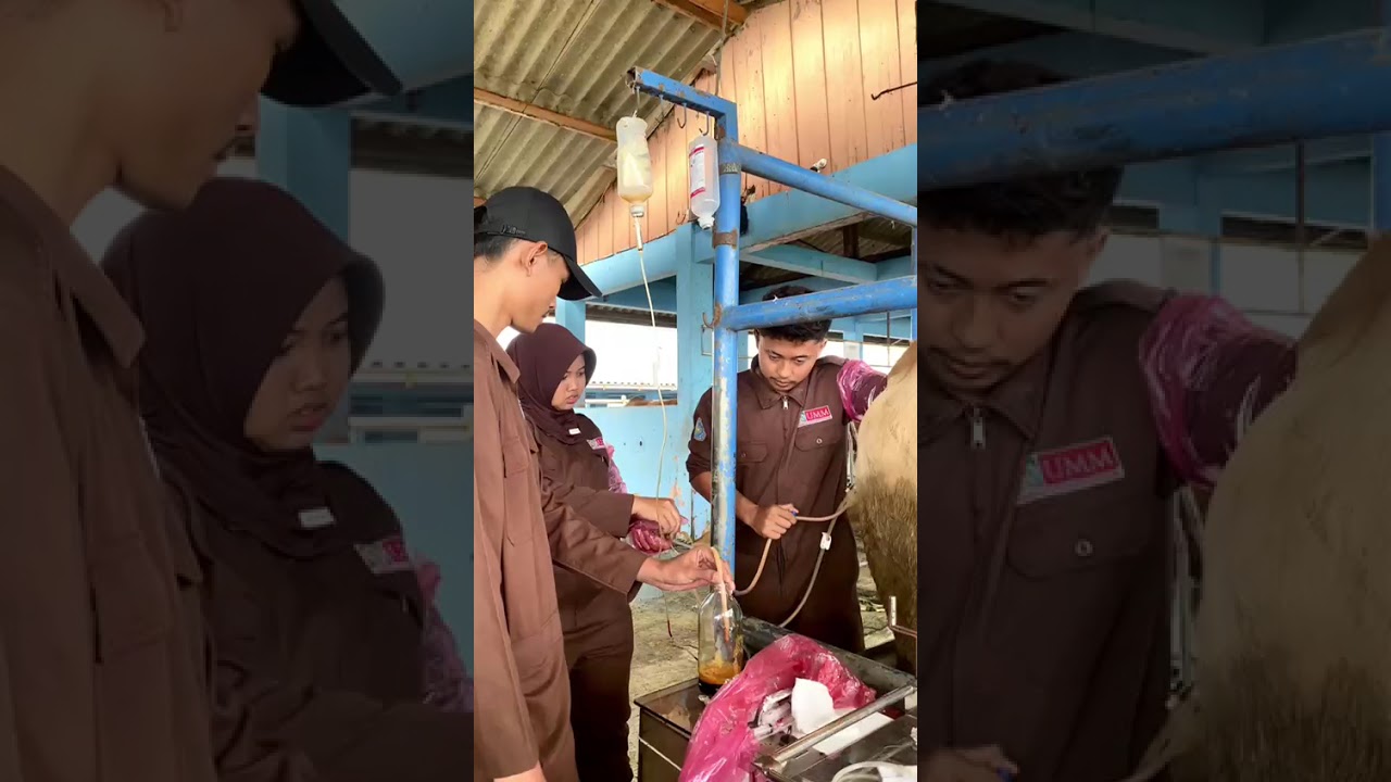 RESENSI MAGANG KPR DI BET CIPELANG BOGOR