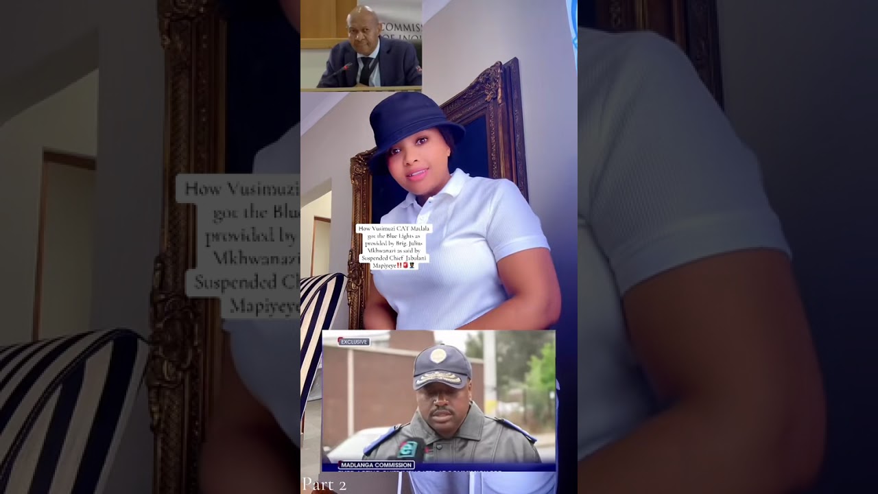 How blue lights were provided to Vusimuzi Cat Matlala by Brig. Julius Mkhwanazi; | Chief Mapiyeye. 