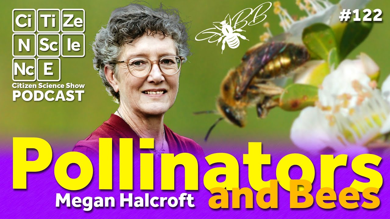#122 Keeping Australia Buzzing: How a Nurse-Turned-Scientist Sparked a Movement for Pollinators